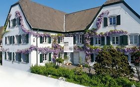 Rhein River Guesthouse - direkt am Rhein